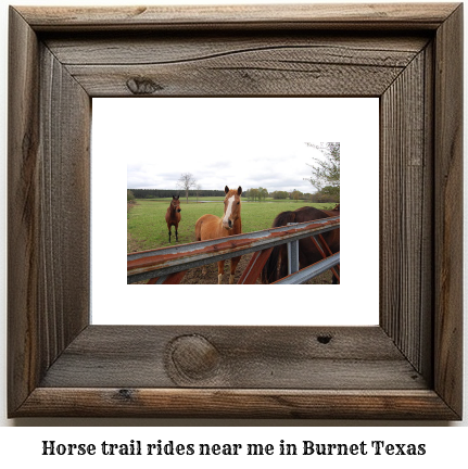 horse trail rides near me in Burnet, Texas